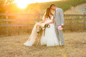julia-goldberg-elopement-wedding-sunset-photography-boho-bride-groom-san-francisco-usa-outdoor-adventure-intimate-love